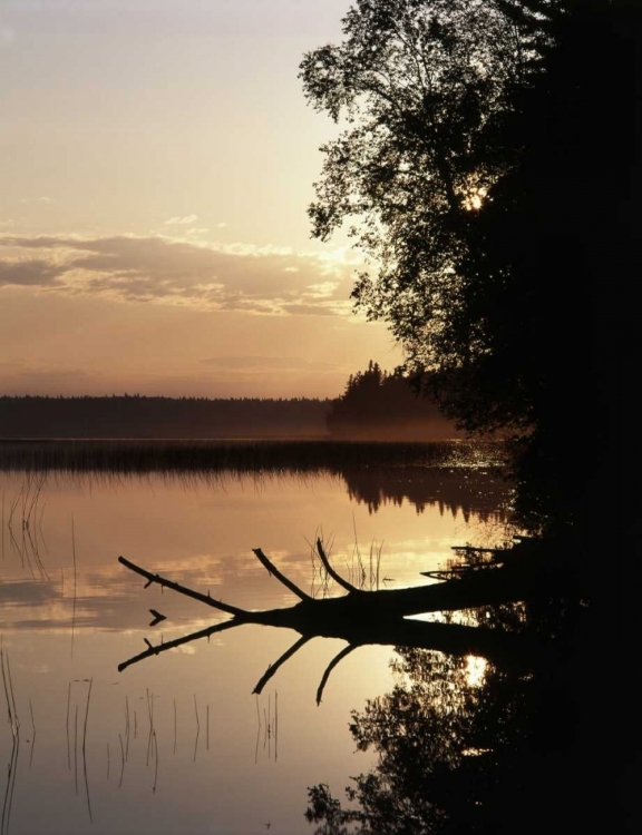 Picture of CANADA, MANITOBA, CHILDS LAKE IN DUCK MOUNTAIN PP