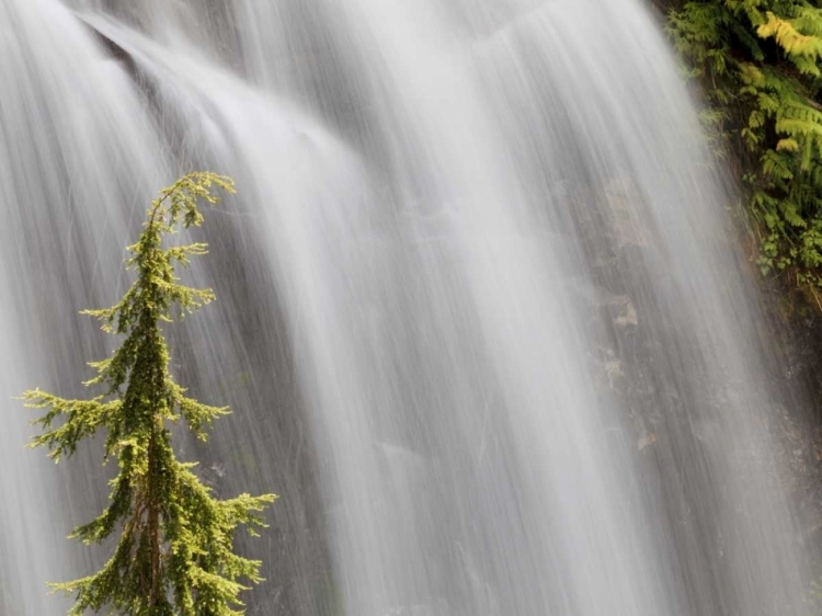 Picture of WA, STEHEKIN WATERFALL ON THE AGNES GORGE TRAIL