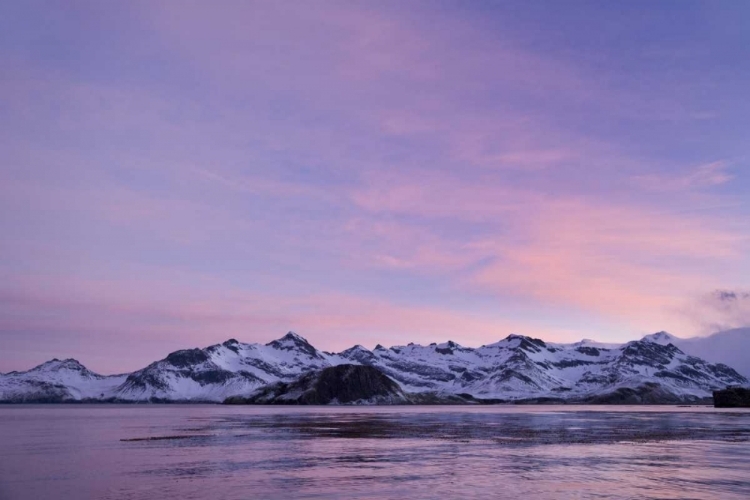 Picture of SOUTH GEORGIA ISLAND, LEITH HARBOR PINK SUNRISE