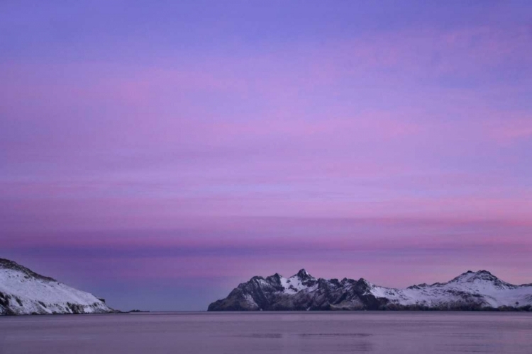 Picture of SOUTH GEORGIA ISLAND, LEITH HARBOR PINK SUNRISE