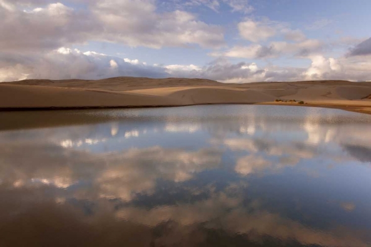 Picture of OR, SIUSLAW NF, UMPQUA DUNES LAKE NEXT TO DUNES