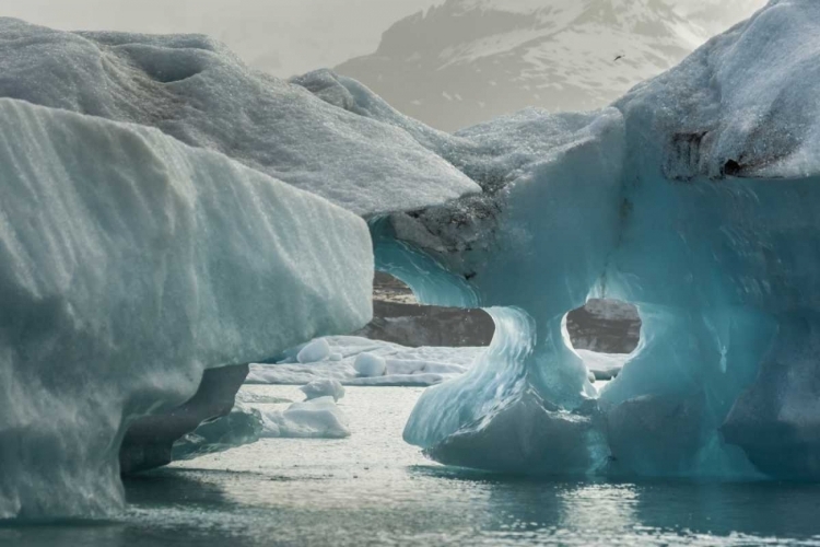 Picture of EUROPE, ICELAND, JOKUSARLON ICEBERG FORMATIONS