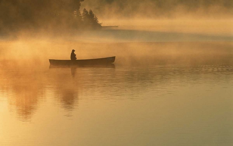 Picture of CANOEIST, ALGONGUIN PARK, ONTARIO, CANADA