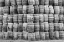 Picture of CA, SAN LUIS OBISPO CO, STACK OF WINE BARRELS