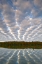 Picture of MICHIGAN CLOUDS OVER PETES LAKE IN AUTUMN