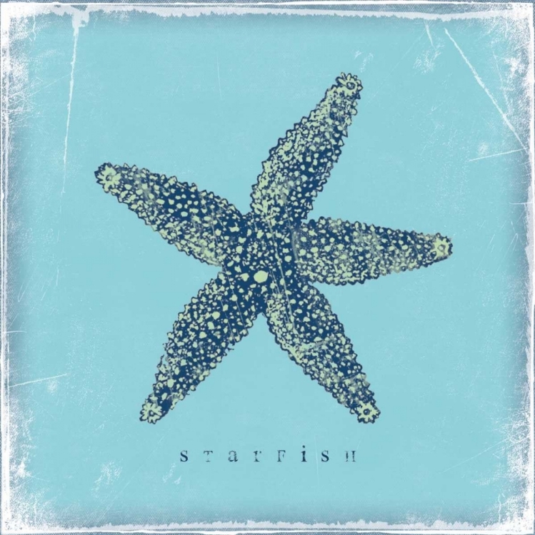 Picture of STARFISH