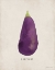 Picture of EGGPLANT