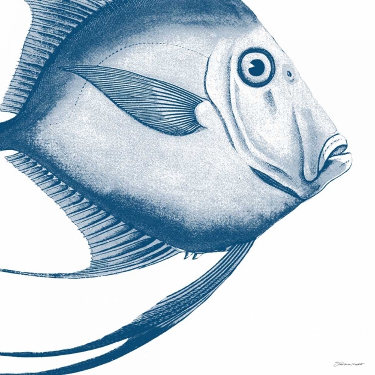 Picture of BLUE FISH