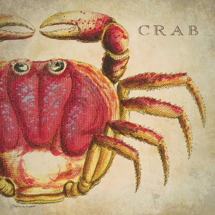 Picture of RED CRAB