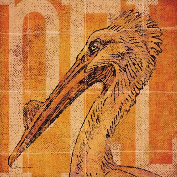 Picture of PELICAN HEAD