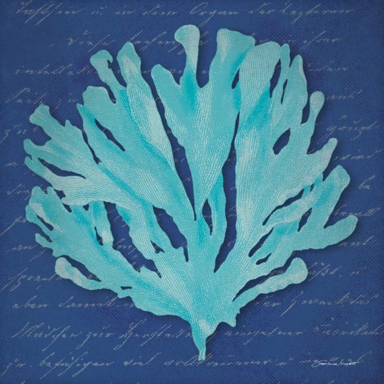 Picture of BLUE CORAL