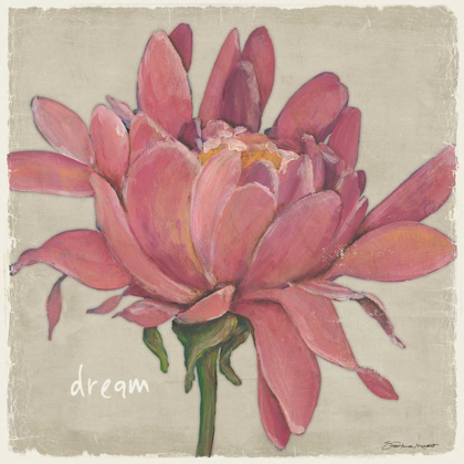 Picture of DREAM FLORAL