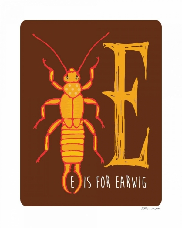 Picture of E IS FOR EARWIG