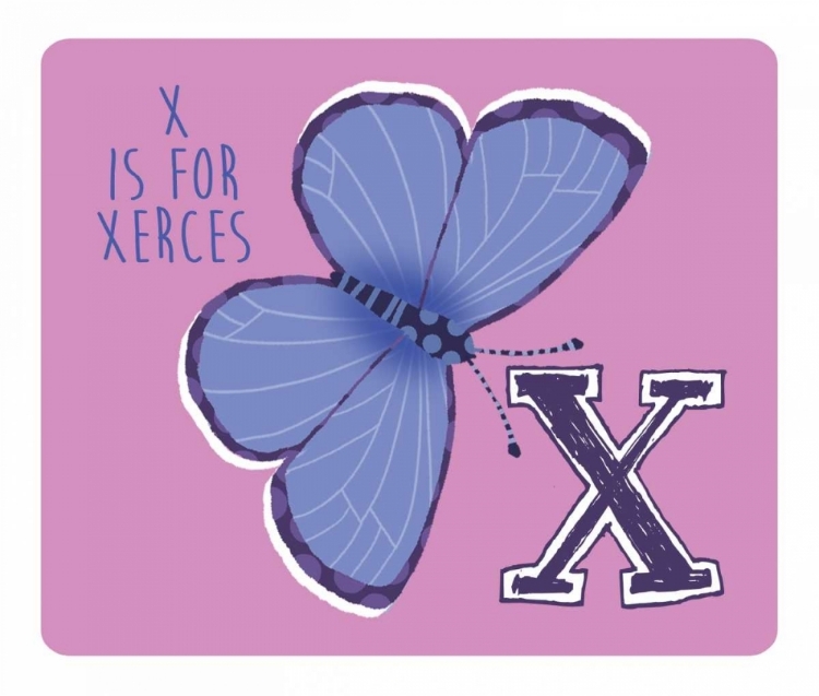 Picture of X IS FOR XERCES