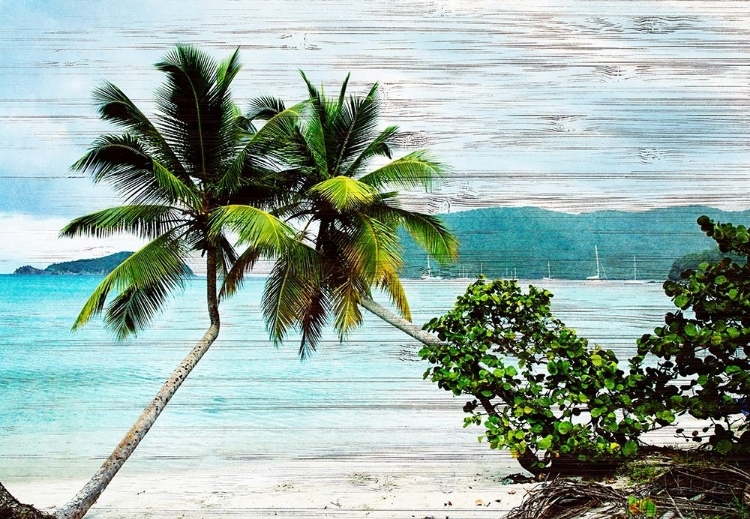 Picture of HANGING PALMS ON WOOD