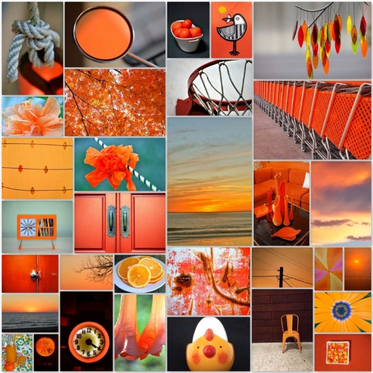 Picture of ORANGINA COLLAGE