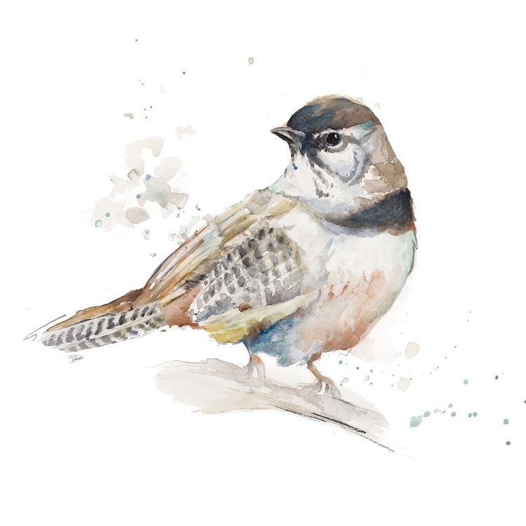 Picture of WATERCOLOR MOUNTAIN BIRD III