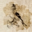 Picture of BIRD STUDY III