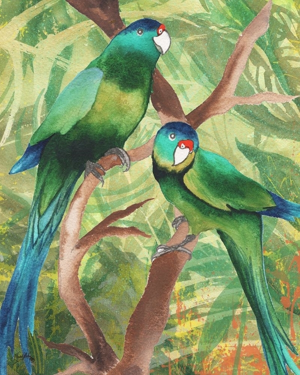 Picture of TROPICAL BIRDS II