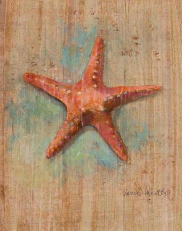 Picture of STARFISH II