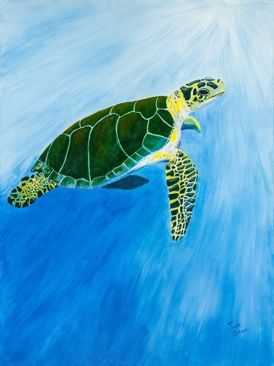 Picture of GREEN TURTLE