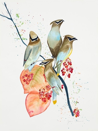 Picture of BIRDS ON BRANCH