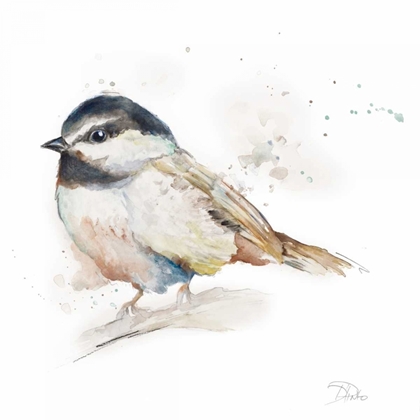 Picture of WATERCOLOR MOUNTAIN BIRD II