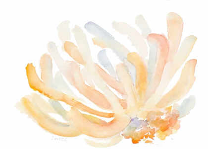 Picture of WATERCOLOR CORAL