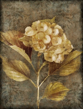 Picture of ANTIQUE HYDRANGEA I