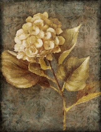 Picture of ANTIQUE HYDRANGEA II