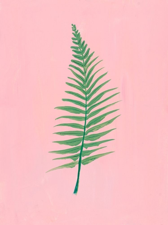 Picture of PINK FERN II