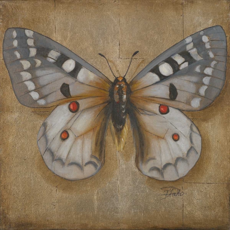 Picture of BUTTERFLY II