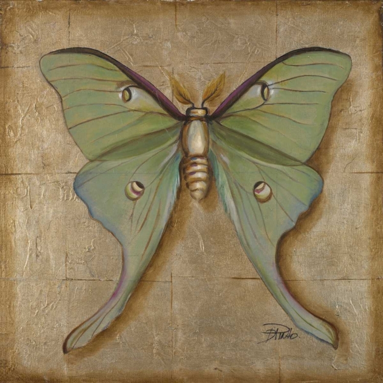 Picture of LUNA MOTH