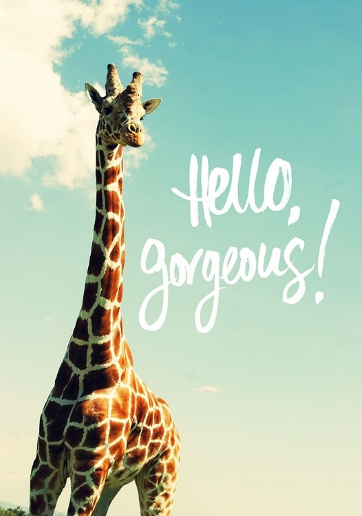 Picture of HELLO GORGEOUS GIRAFFE