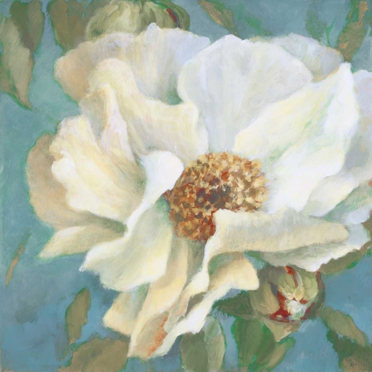 Picture of SEN~ORITA PEONY IN BLOOM II