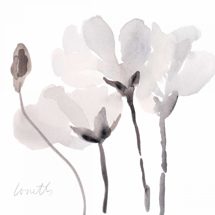 Picture of TONAL MAGNOLIAS III