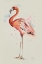 Picture of FLAMINGO IN SHAPE