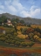 Picture of ITALIAN COUNTRYSIDE I