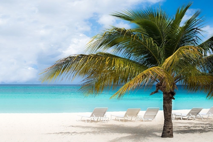 Picture of RELAXING BEACH AND HORIZON