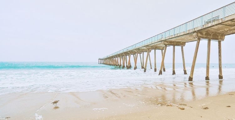 Picture of BEACH PIER VIEW