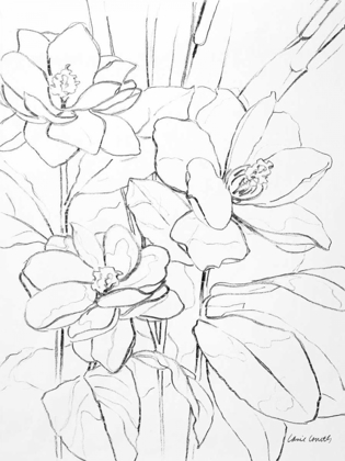 Picture of FLORAL SKETCH I