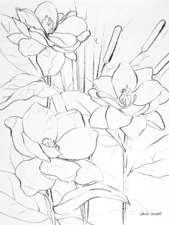 Picture of FLORAL SKETCH II