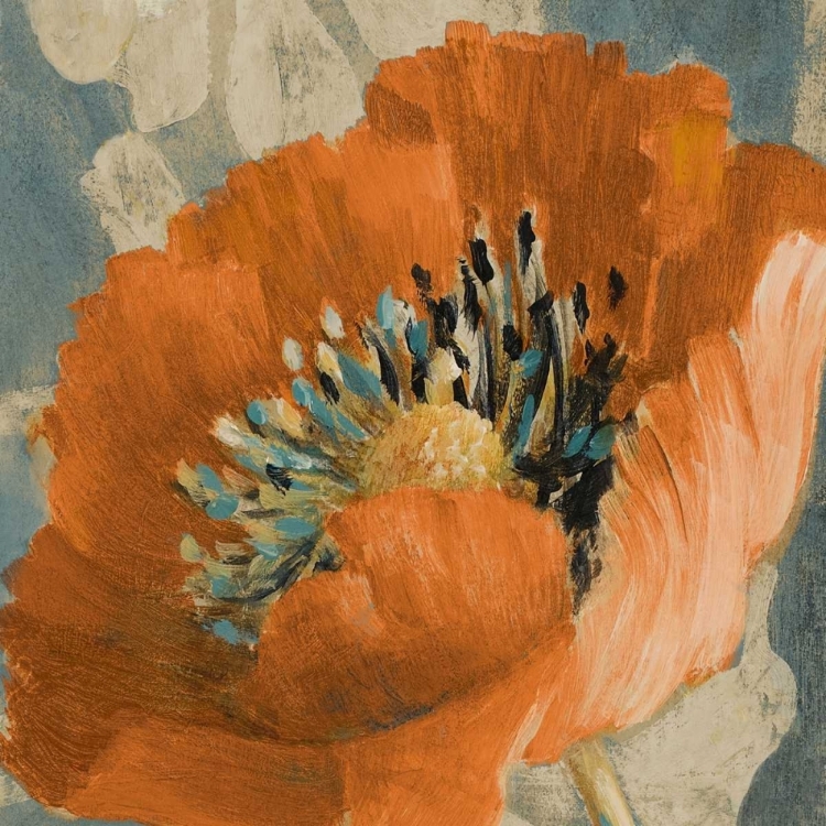 Picture of ORANGE POPPY