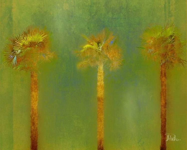 Picture of THREE PALMS II