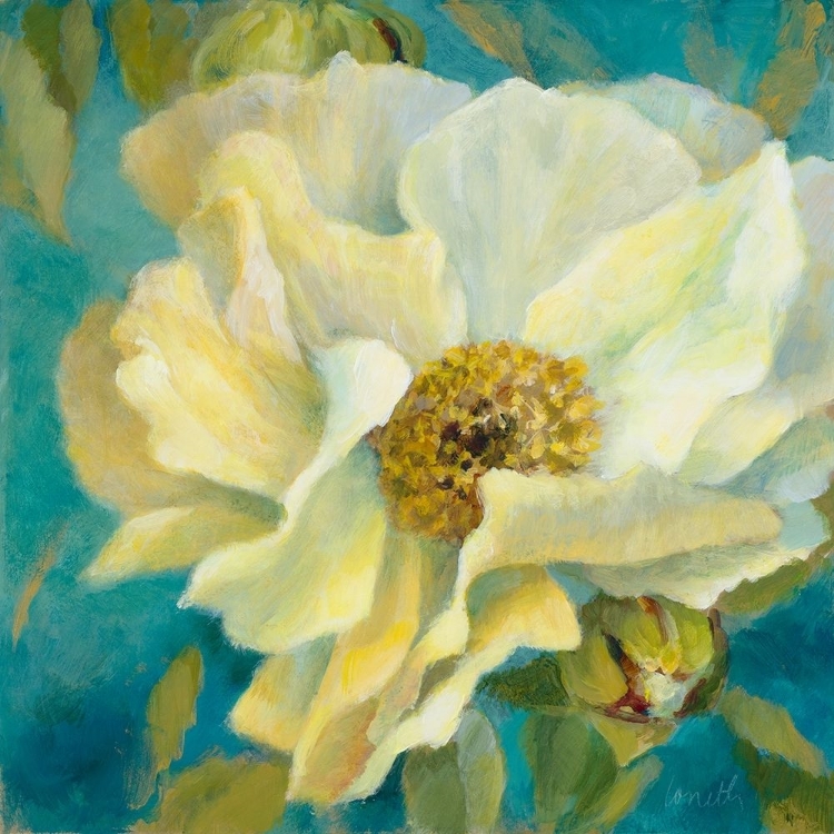 Picture of SEN~ORITA PEONY AND BUDS