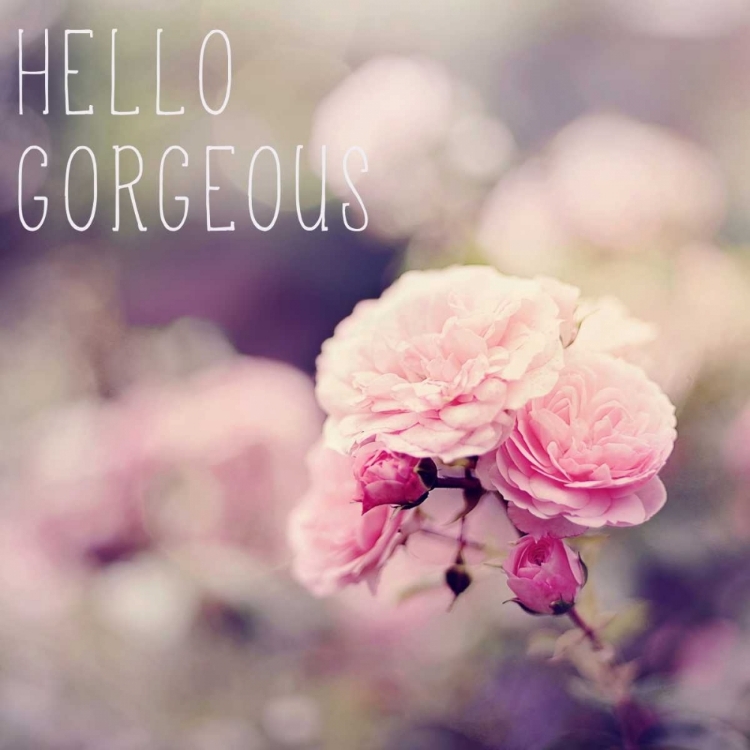 Picture of HELLO GORGEOUS