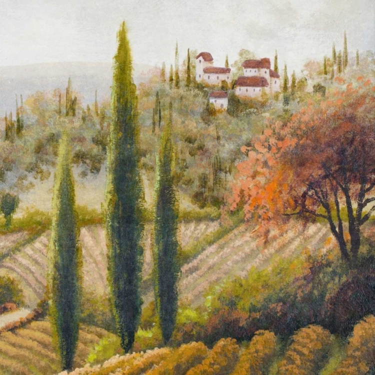 Picture of TUSCANY VINEYARD II