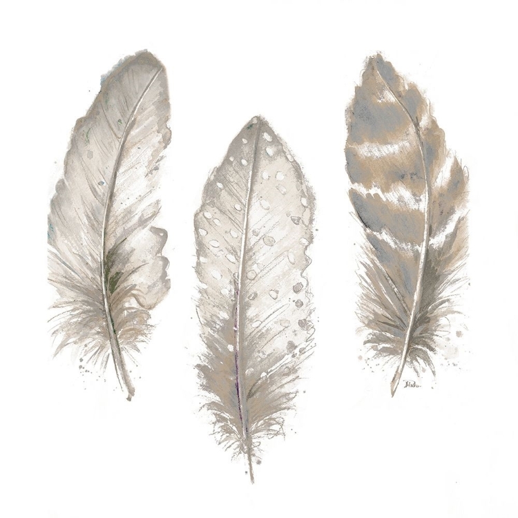 Picture of NEUTRAL WATERCOLOR FEATHERS II