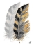 Picture of TWO WATERCOLOR FEATHERS