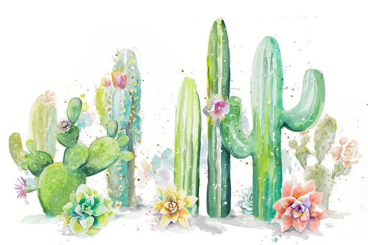 Picture of CACTUS GARDEN